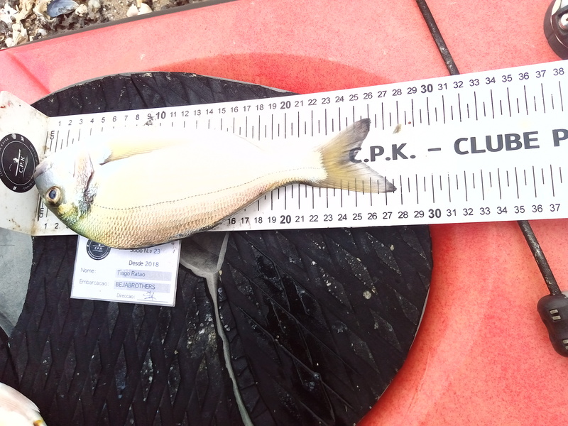 Fish Measure Picture
