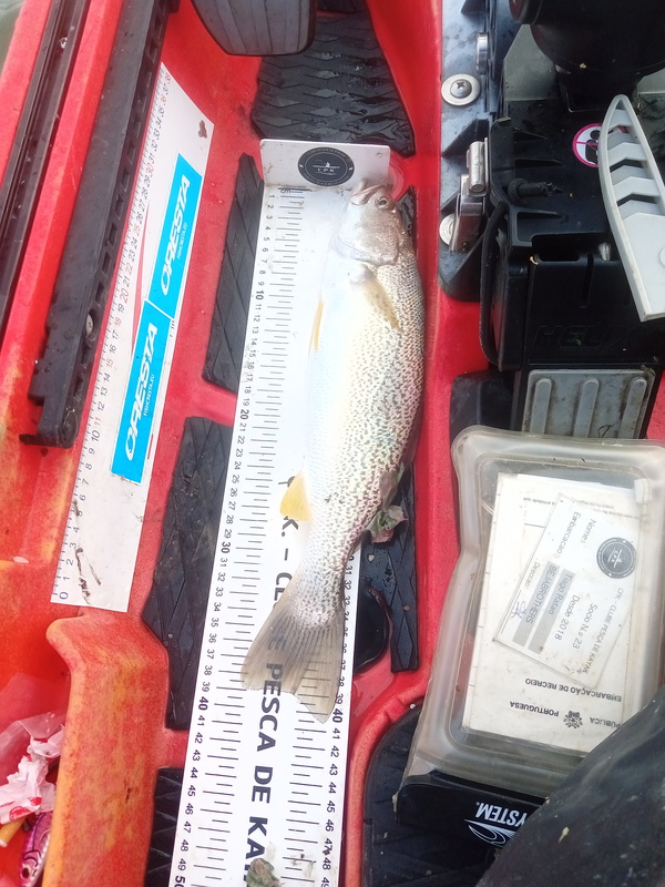 Fish Measure Picture