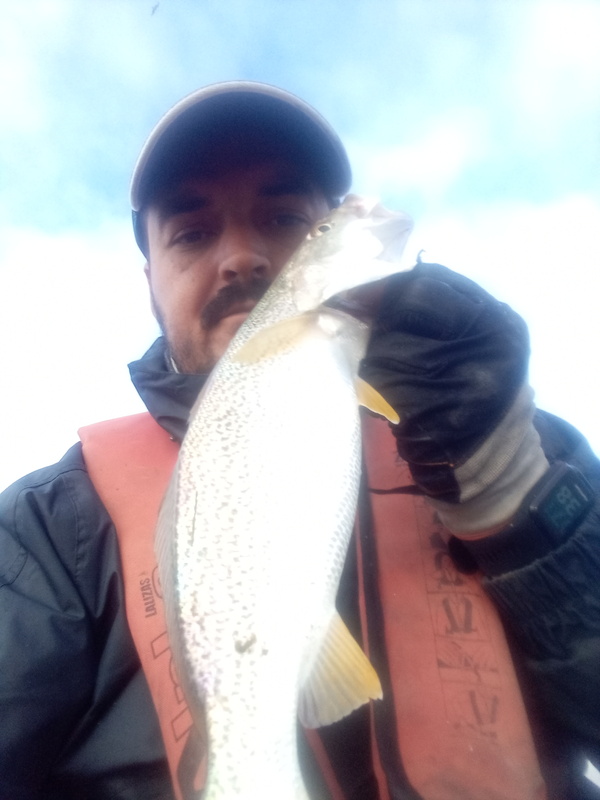 Fish Profile Picture