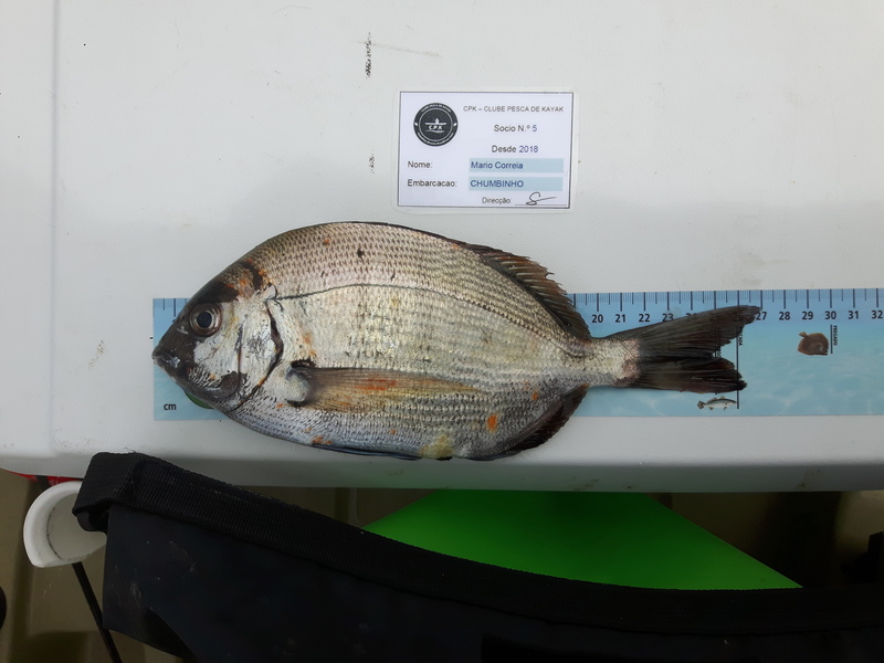 Fish Measure Picture
