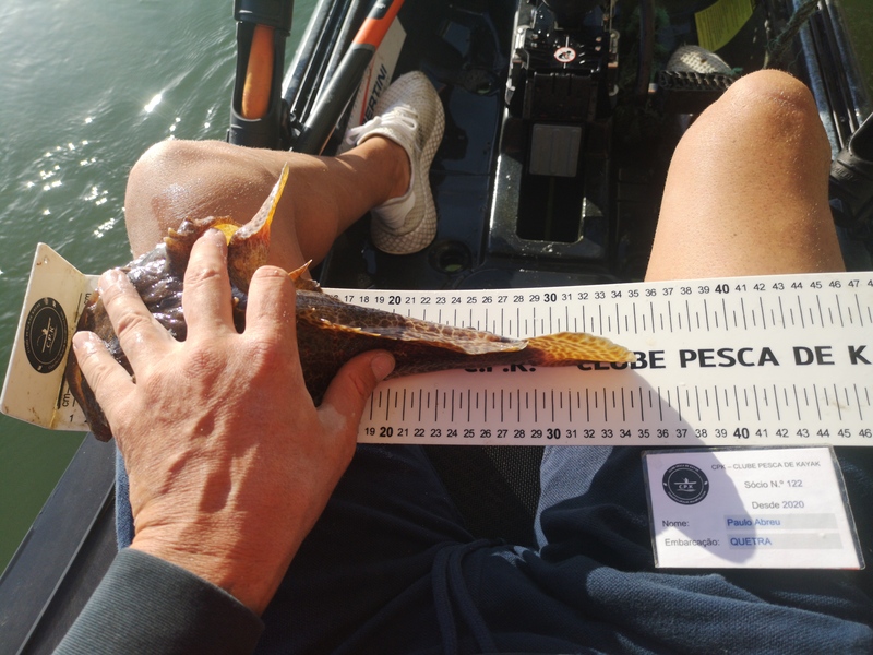 Fish Measure Picture