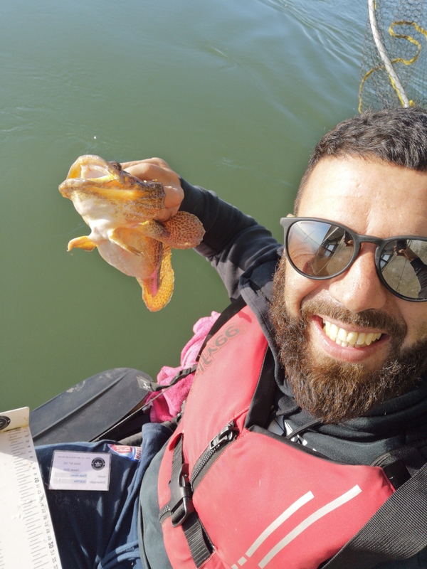Fish Profile Picture