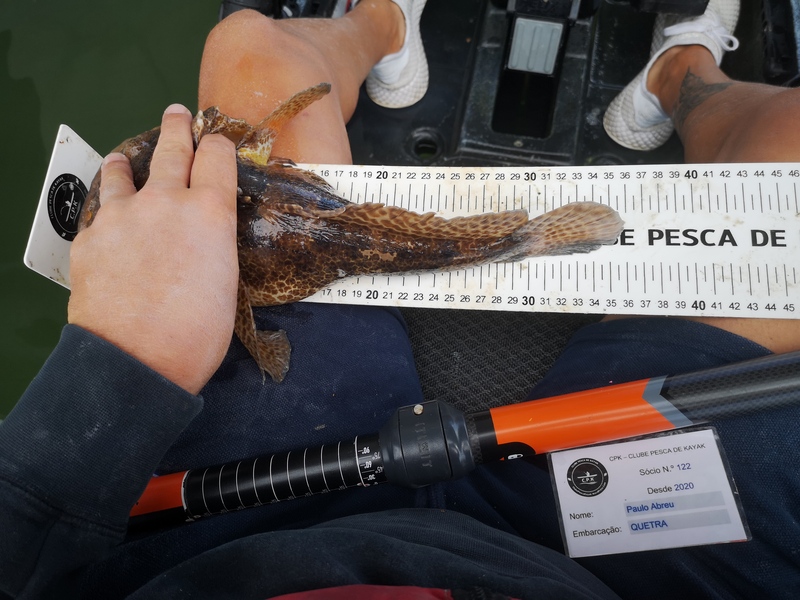 Fish Measure Picture