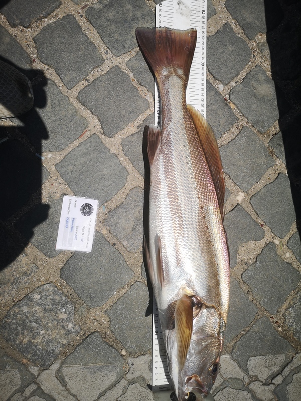Fish Measure Picture