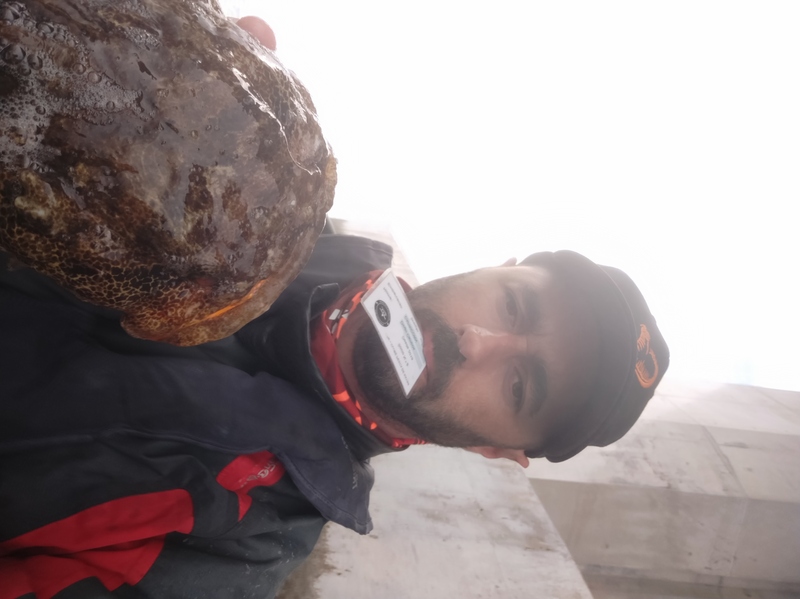 Fish Profile Picture