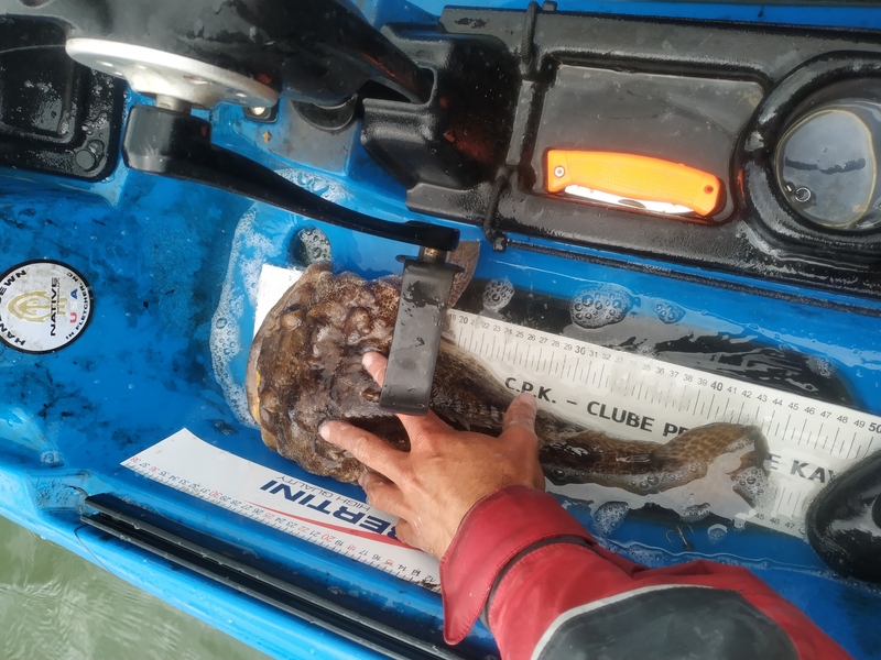 Fish Measure Picture