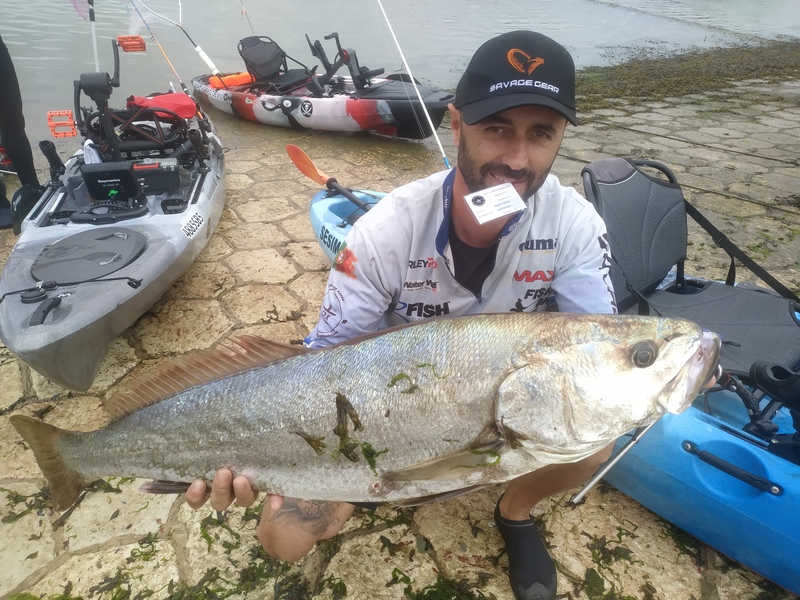 Fish Profile Picture