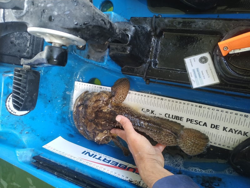 Fish Measure Picture