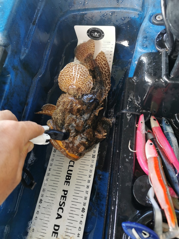 Fish Measure Picture