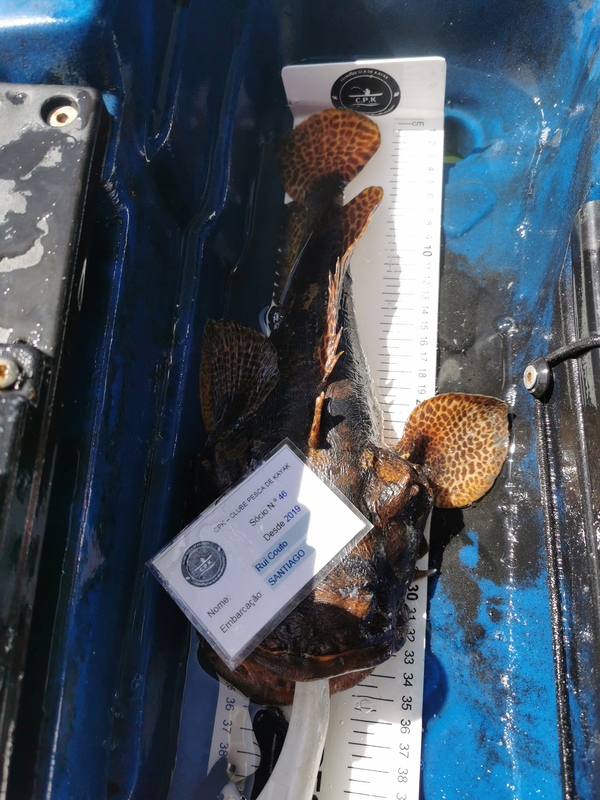Fish Measure Picture