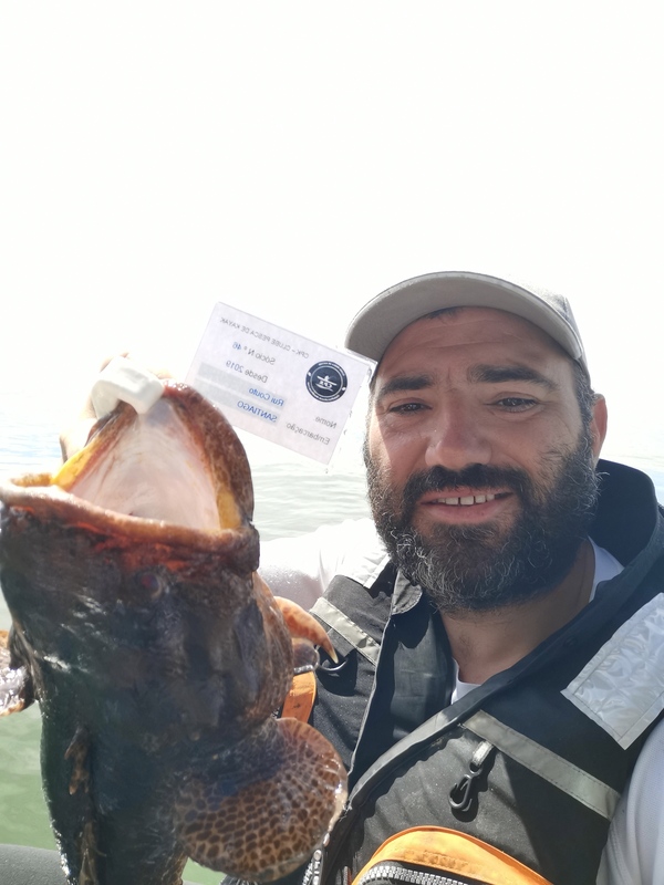 Fish Profile Picture