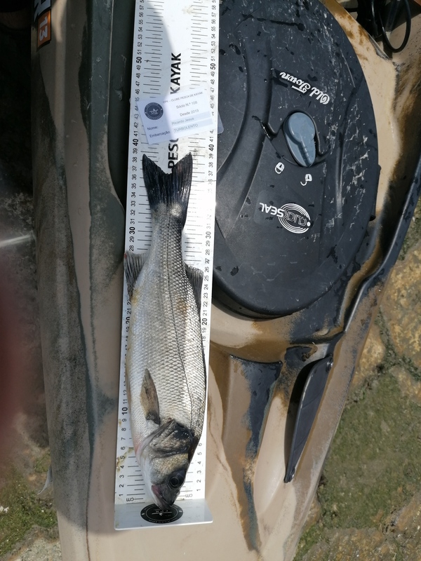Fish Measure Picture