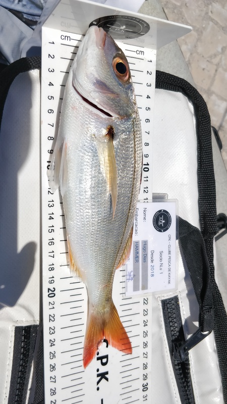 Fish Measure Picture