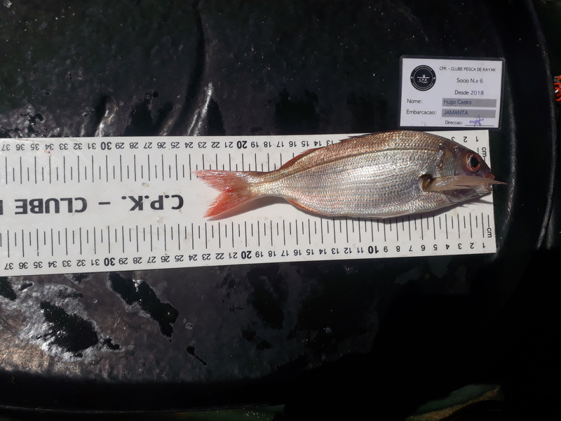 Fish Measure Picture