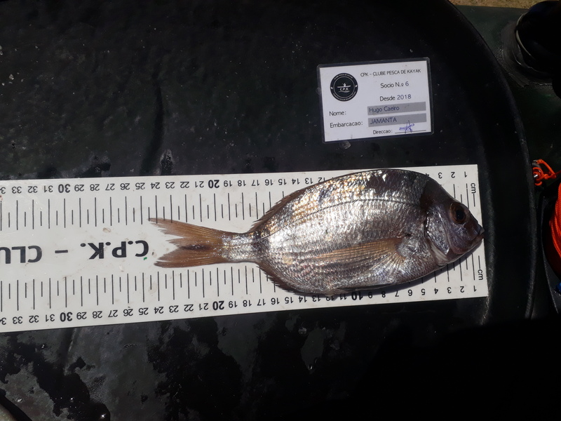 Fish Measure Picture