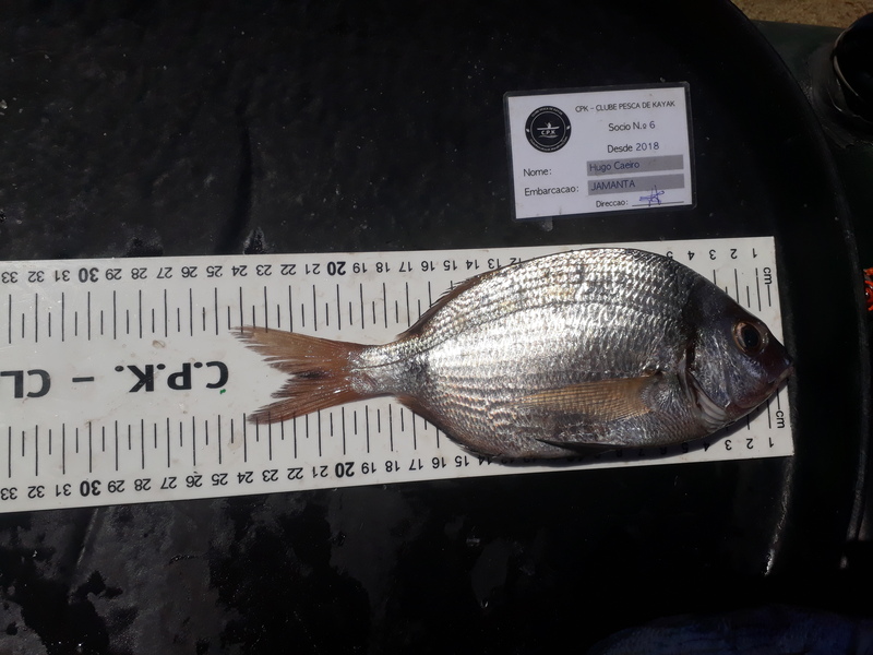 Fish Measure Picture