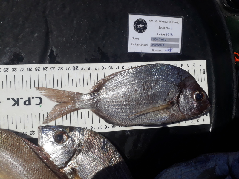 Fish Measure Picture