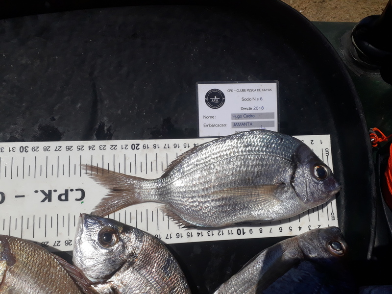 Fish Measure Picture