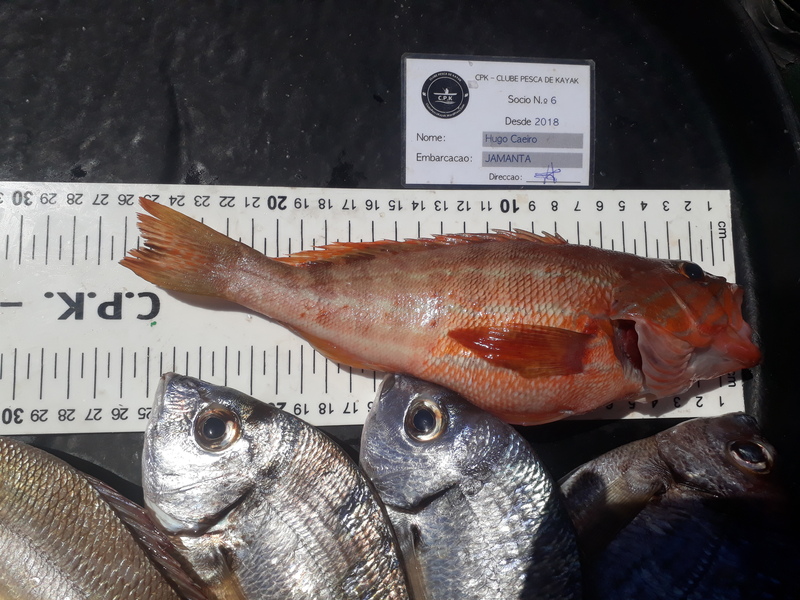 Fish Measure Picture