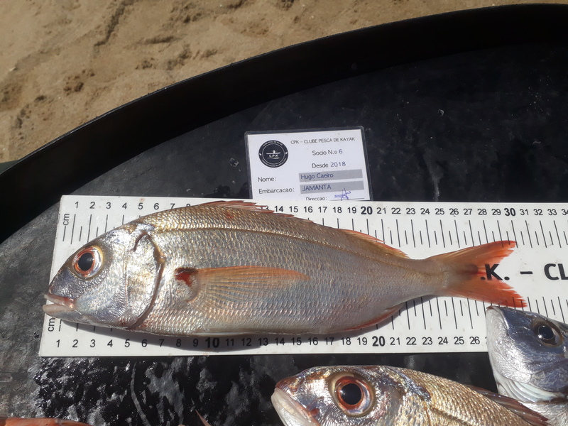 Fish Measure Picture