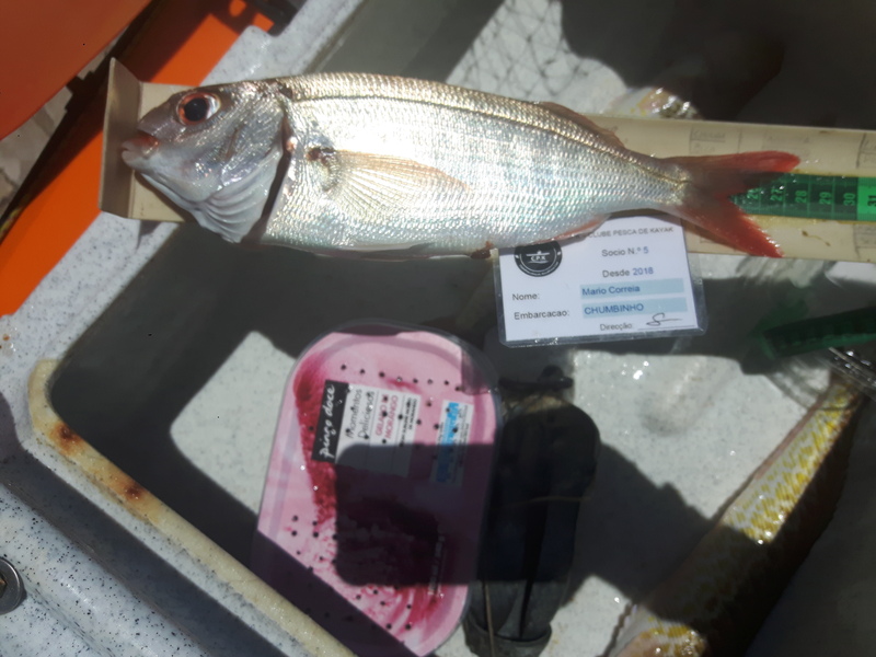 Fish Measure Picture