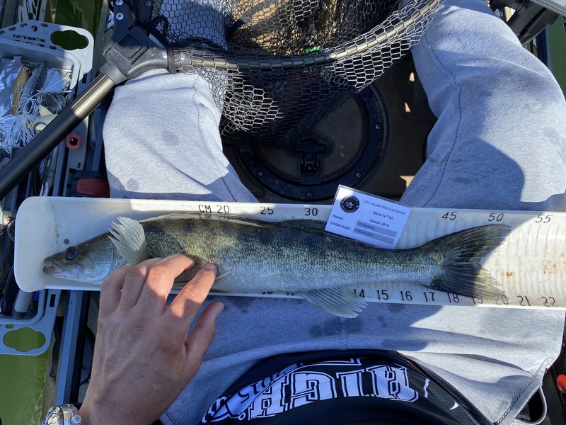 Fish Measure Picture