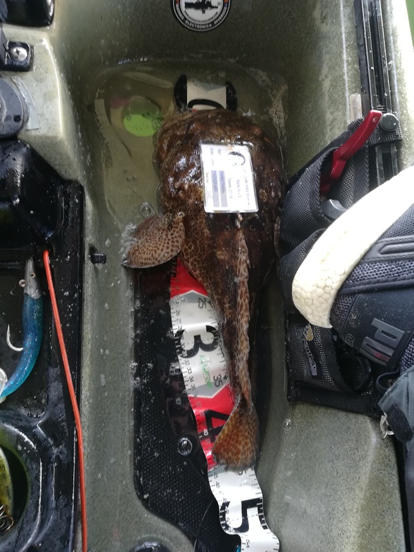 Fish Measure Picture