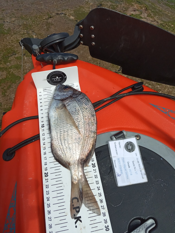 Fish Measure Picture