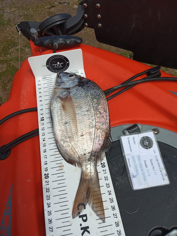 Fish Measure Picture