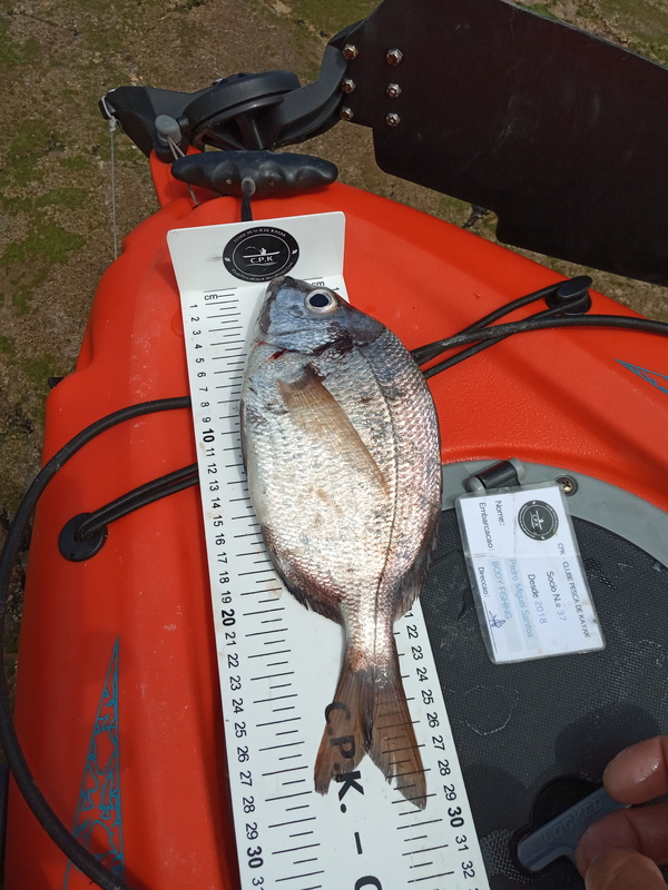 Fish Measure Picture