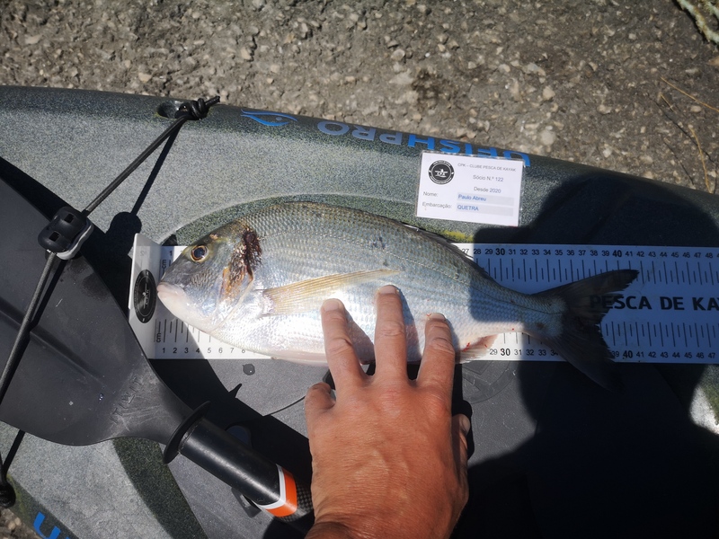 Fish Measure Picture