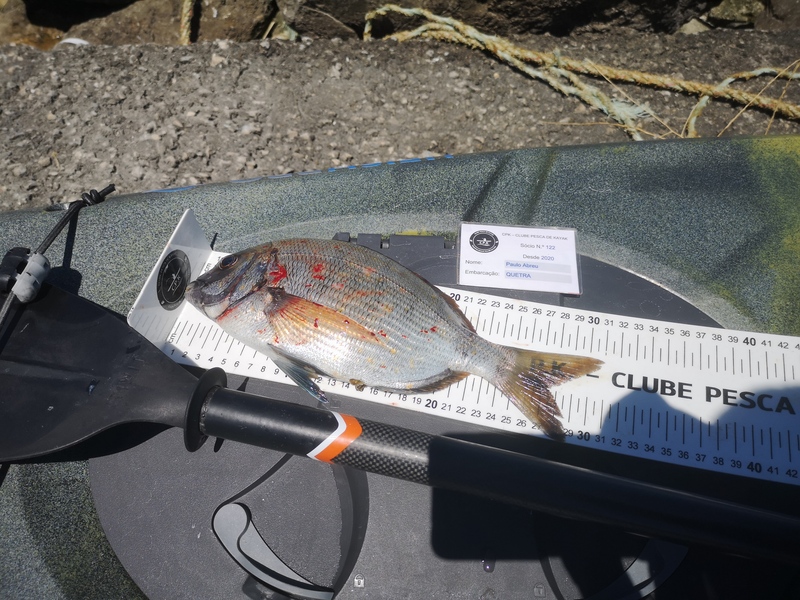 Fish Measure Picture