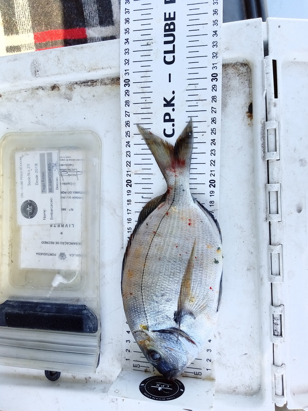 Fish Measure Picture