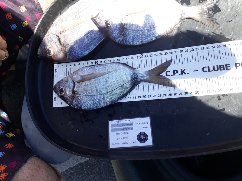 Fish Measure Picture
