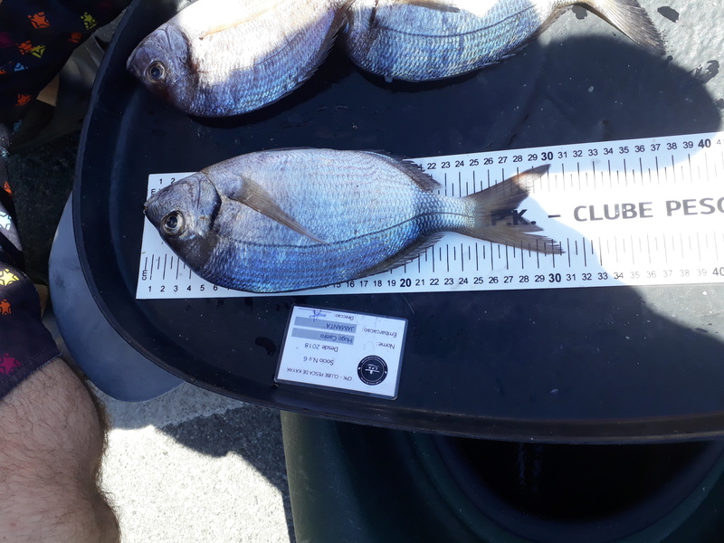 Fish Measure Picture