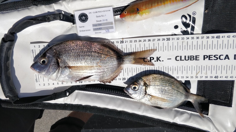 Fish Measure Picture