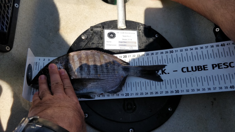 Fish Measure Picture