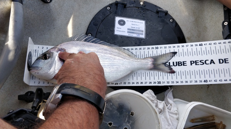 Fish Measure Picture
