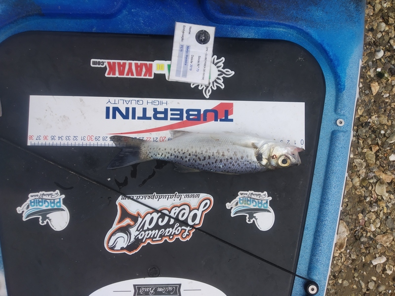 Fish Measure Picture