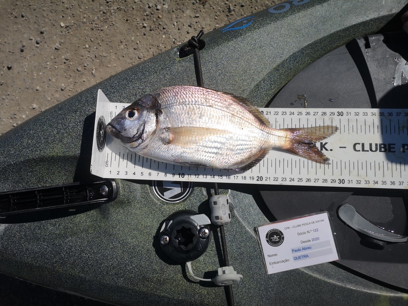 Fish Measure Picture