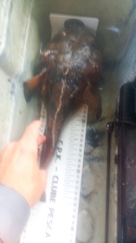 Fish Measure Picture