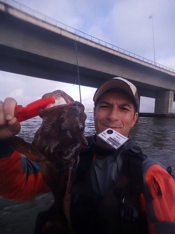 Fish Profile Picture