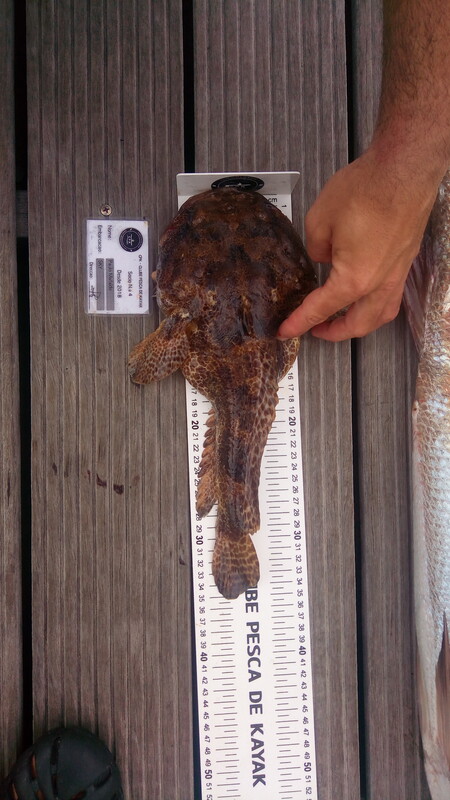 Fish Measure Picture