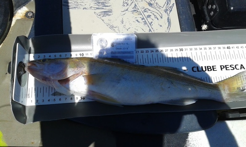 Fish Measure Picture