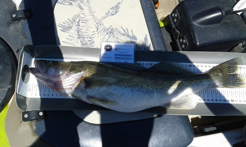 Fish Measure Picture
