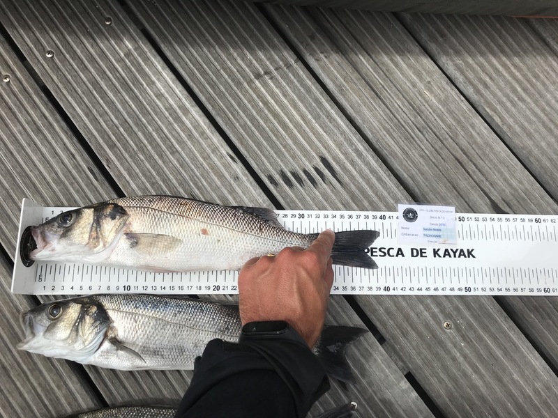 Fish Measure Picture