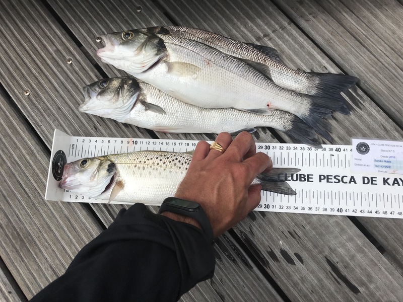 Fish Measure Picture