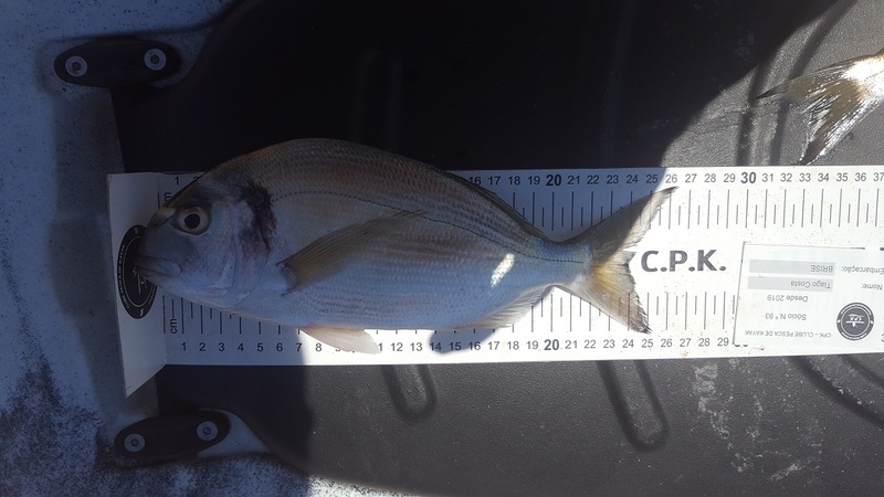 Fish Measure Picture