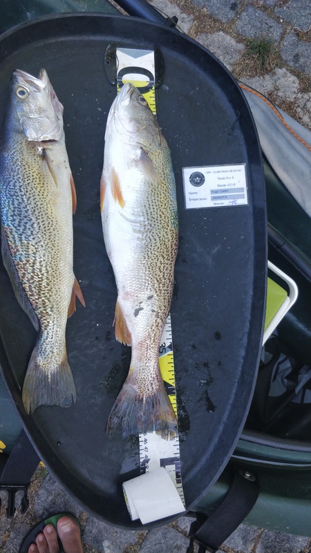 Fish Measure Picture