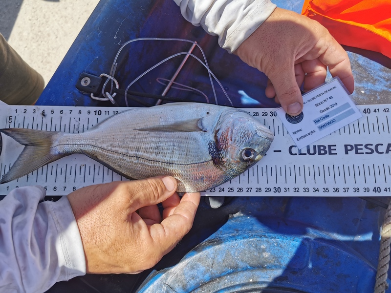 Fish Measure Picture